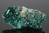 Gemmy Dioptase Crystal Cluster #175952-1